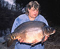 35lb mirror