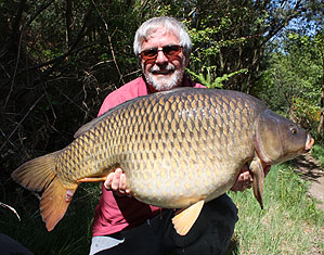 A stunning stalked 34lb 2oz common